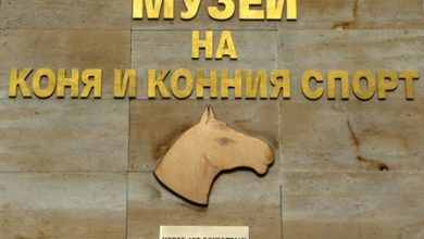 Photo of Музей на коня и конния спорт